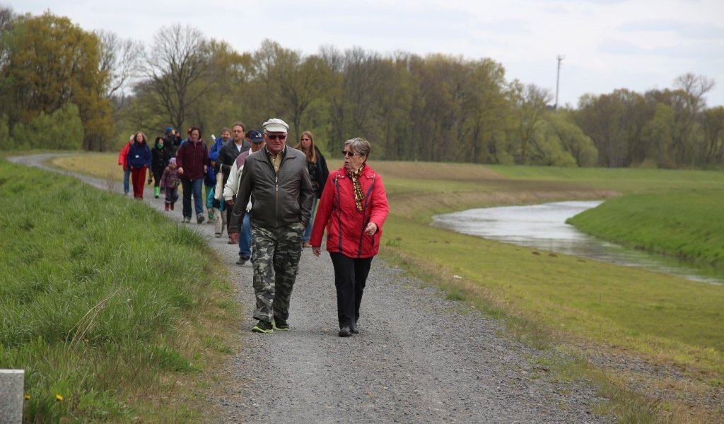Bei einem Zwischenstopp auf dem Deich der Neuen Luppe wurden die Unterschiede von Hart- und Weichholzaue und die ökologischen Zusammenhänge in der Leipziger Auenlandschaft vorgestellt. Der Weg auf dem Deich der Neuen Luppe verdeutlichte die einförmige Landschaft entlang der Neuen Luppe. | Foto: Beate Kahl