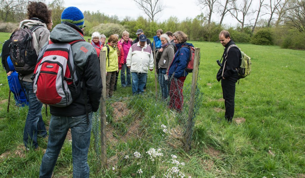 An einem Bodenprofil berichtete Birgit Peil über die Arbeit der wissenschaftlichen Begleitforschung des Projekts Lebendige Luppe.  | Foto: Ludo Van den Bogaert