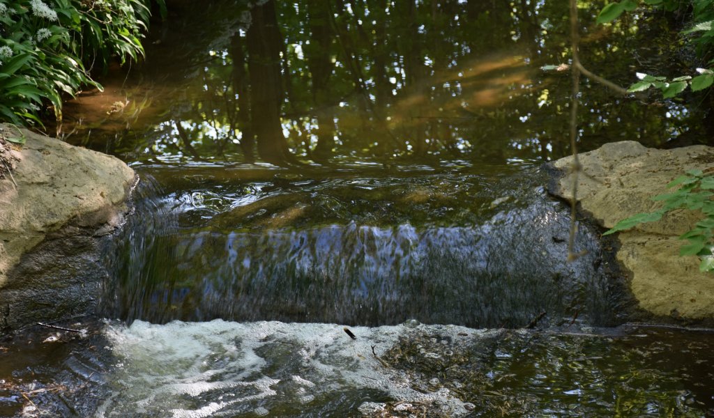 Burgauenbach in der Burgaue | Foto: Karolin Tischer | NABU Sachsen