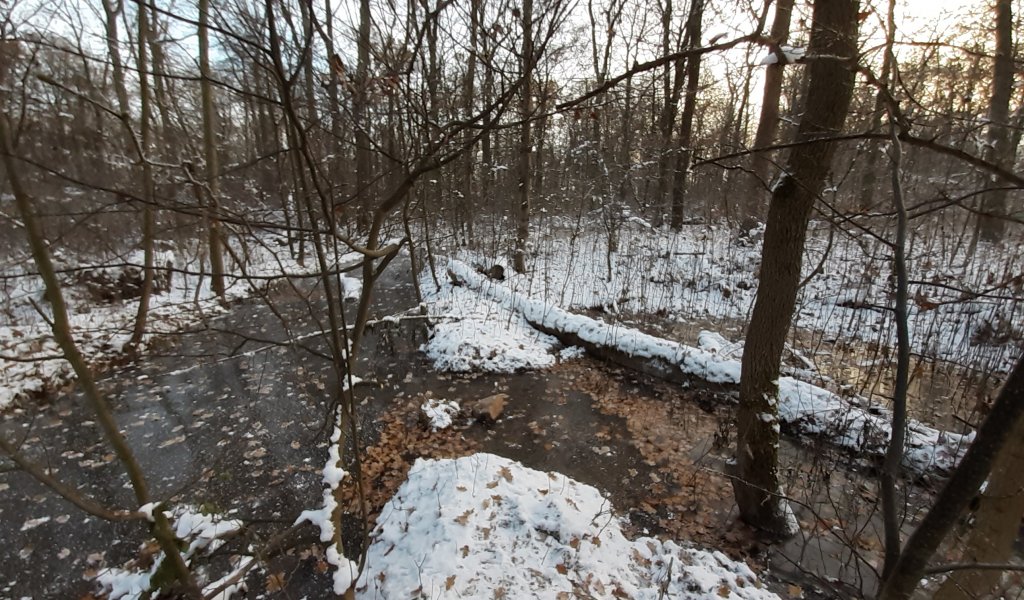 Anschluss eines relktischen Altarms an den Burgauenbach | Foto: Mathias Scholz, UFZ Leipzig