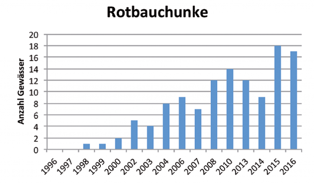 Beobachtungen von Bombina bombina von 1996 bis 2016. | Grafik: Zusammenstellung D. v. Breukelen, M. Scholz und W.-R. Große nach Daten von W. Große & UFZ/Universität Leipzig, aus Vlaic et al. (2017)