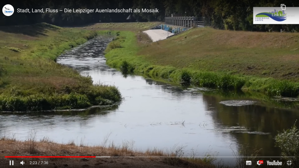 Film Still aus dem Film „Stadt, Land, Fluss –Die Leipziger Auenlandschaft als Mosaik“ | Foto: Karolin Tischer | NABU Sachsen